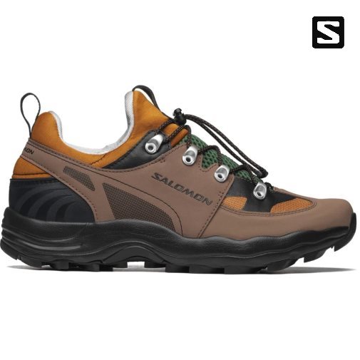 Tenis Salomon Raid Viento 75th Hombre Marrom | MX PGSV578